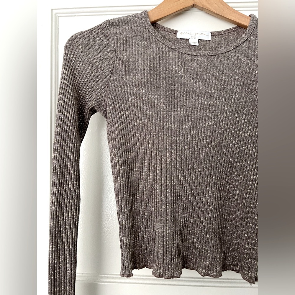 Spiritual gangster long sleeved top. metallic fabric, cropped, size small